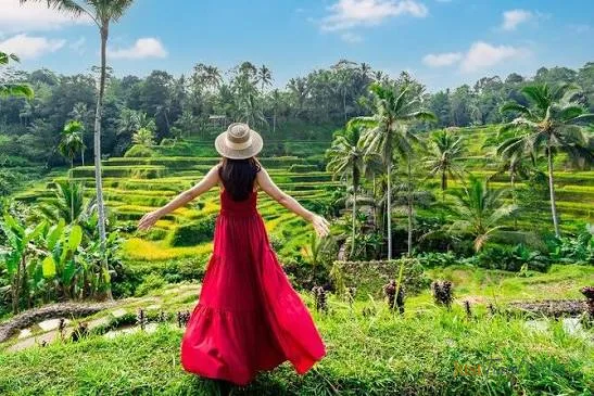 Bali Romantic Tour with Candle Light Dinner 5N/6D tour package
